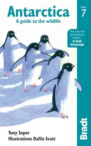 Antarctica: A Guide to the Wildlife - Bradt Travel Guides (Wildlife Guides) (Paperback)