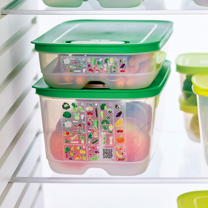 KlimaOasen-Set (5) Grundausstattung zum Frischhalten von Gemüse, Obst und Kräuter