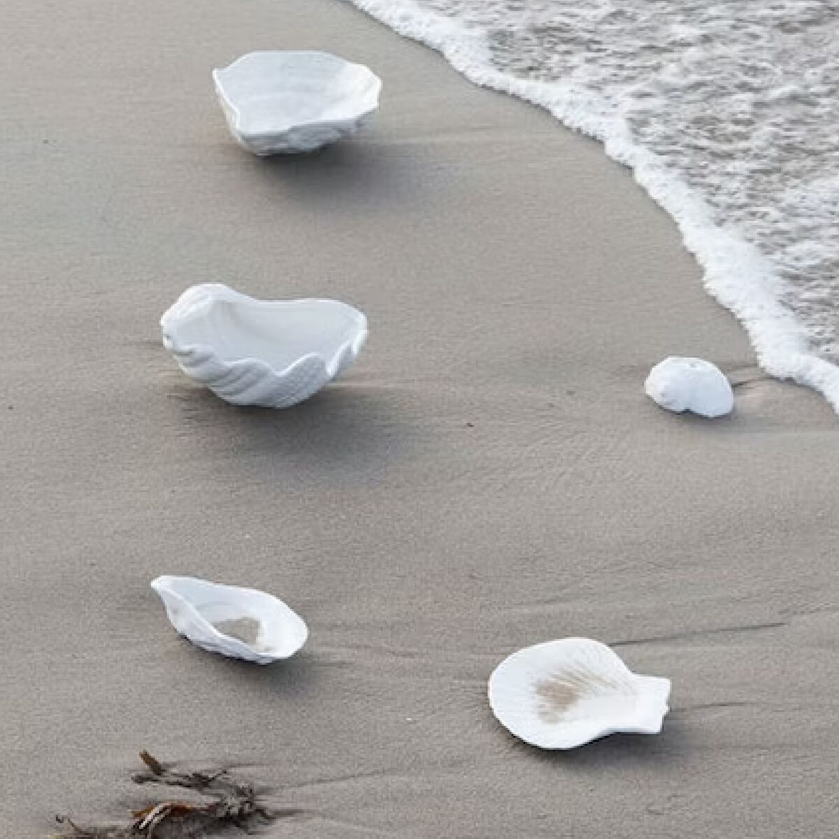 Oyster skål