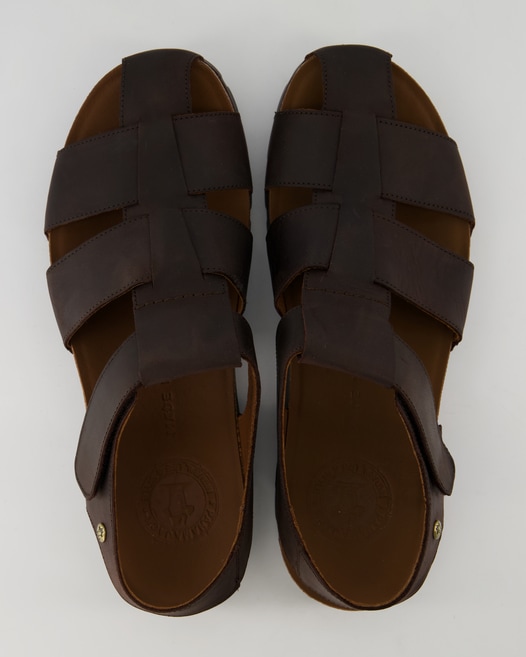 Panama Jack Stanley C6 Sandalen in Braun