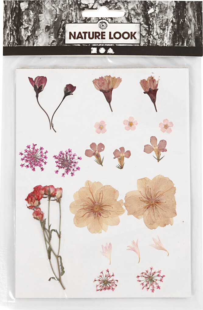 Tørrede Blomster Og Blade - Lys Rosa