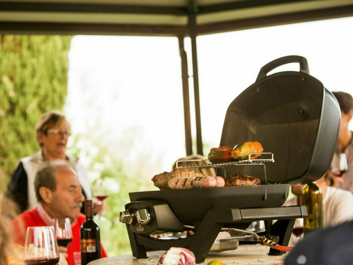 Napoleon TravelQ PRO285 gasbarbecue - Compleet