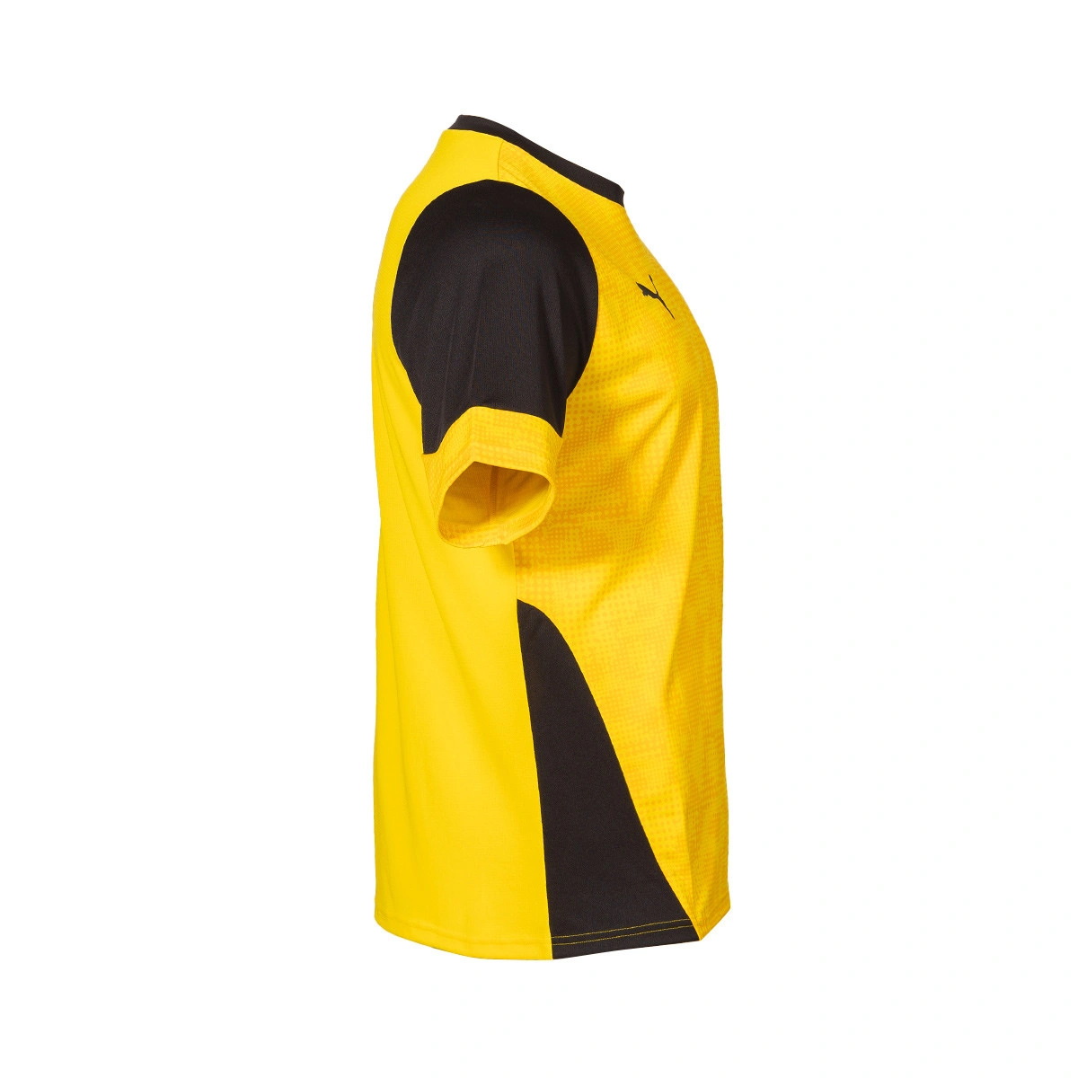 T-Shirt Puma BVB Borussia Training 2025-2026