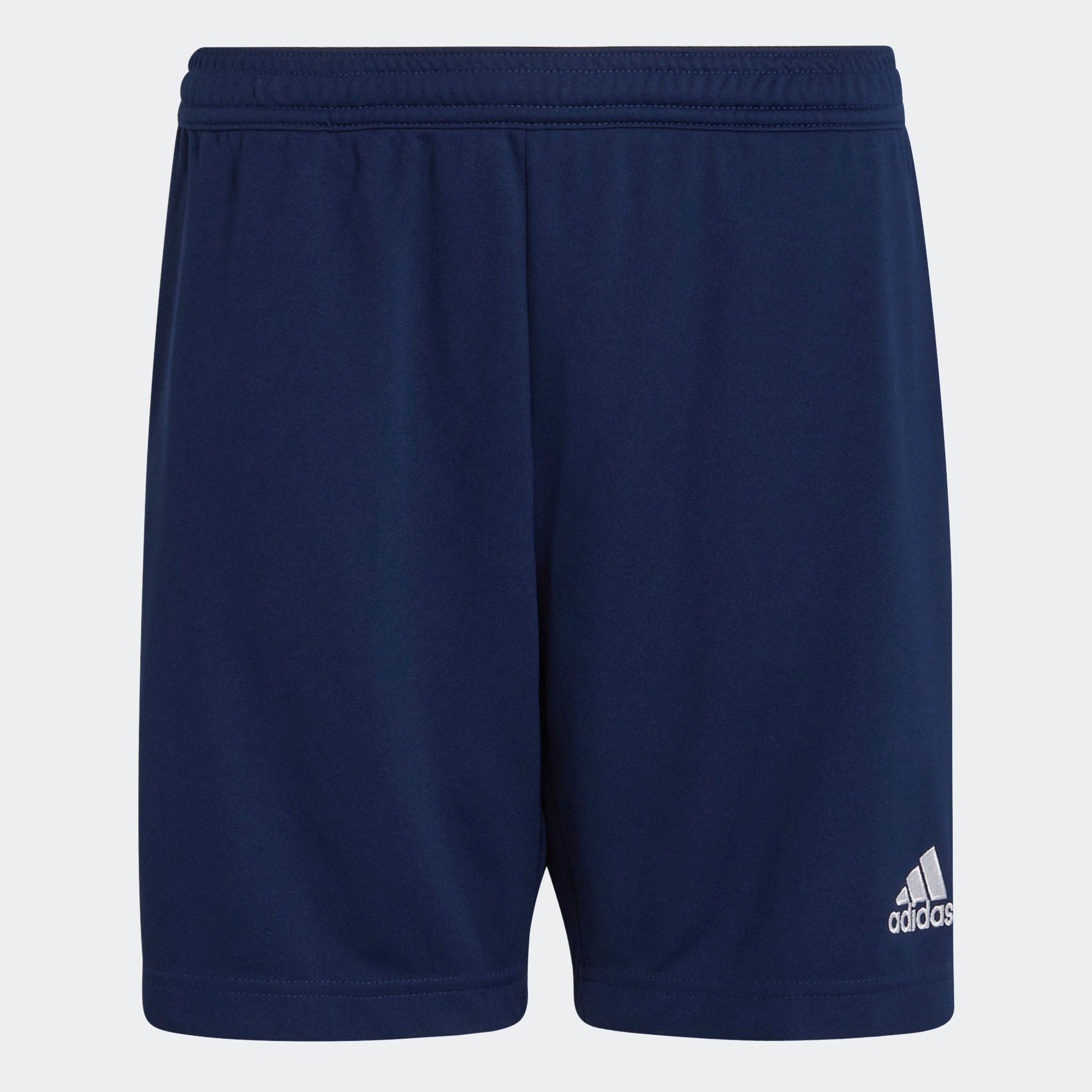 adidas Performance Trainingsshorts »ENT22 TR SHOY«