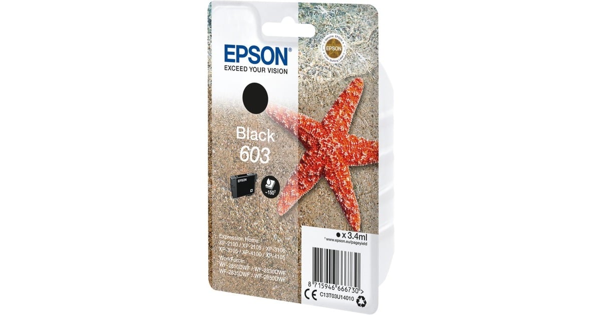 EpsonSinglepack Black 603 Ink inkt  (C13T03U14010, 'Zeester')