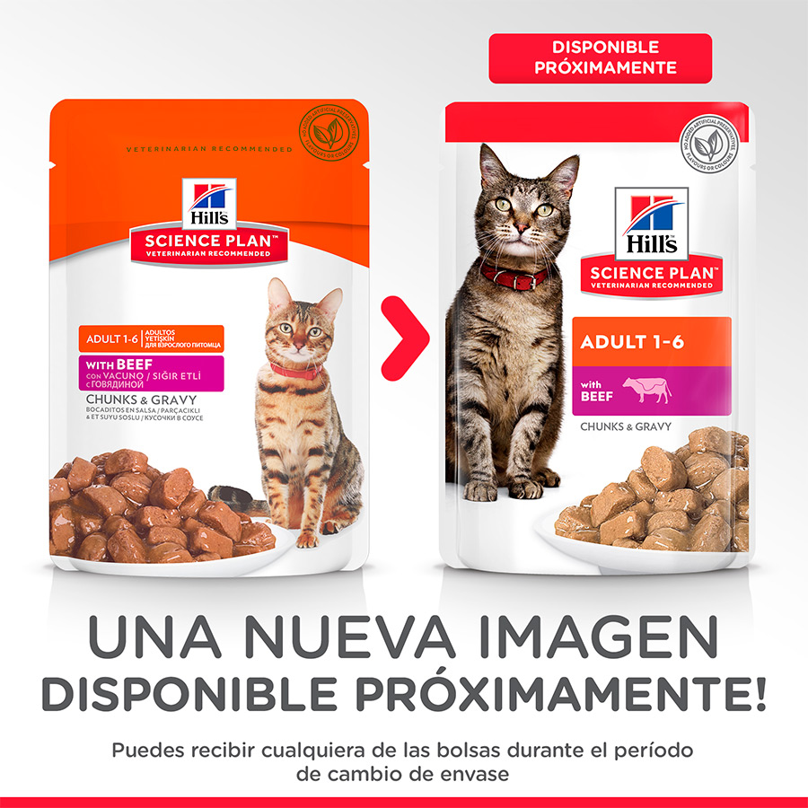 Sachê de carne bovina ao molho Hill's Science Plan para gatos adultos