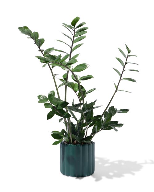 pot de fleurs nervuré vert foncé