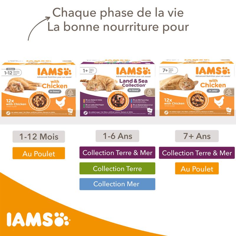 IAMS Delights Adult en sauce 12 x 85 g