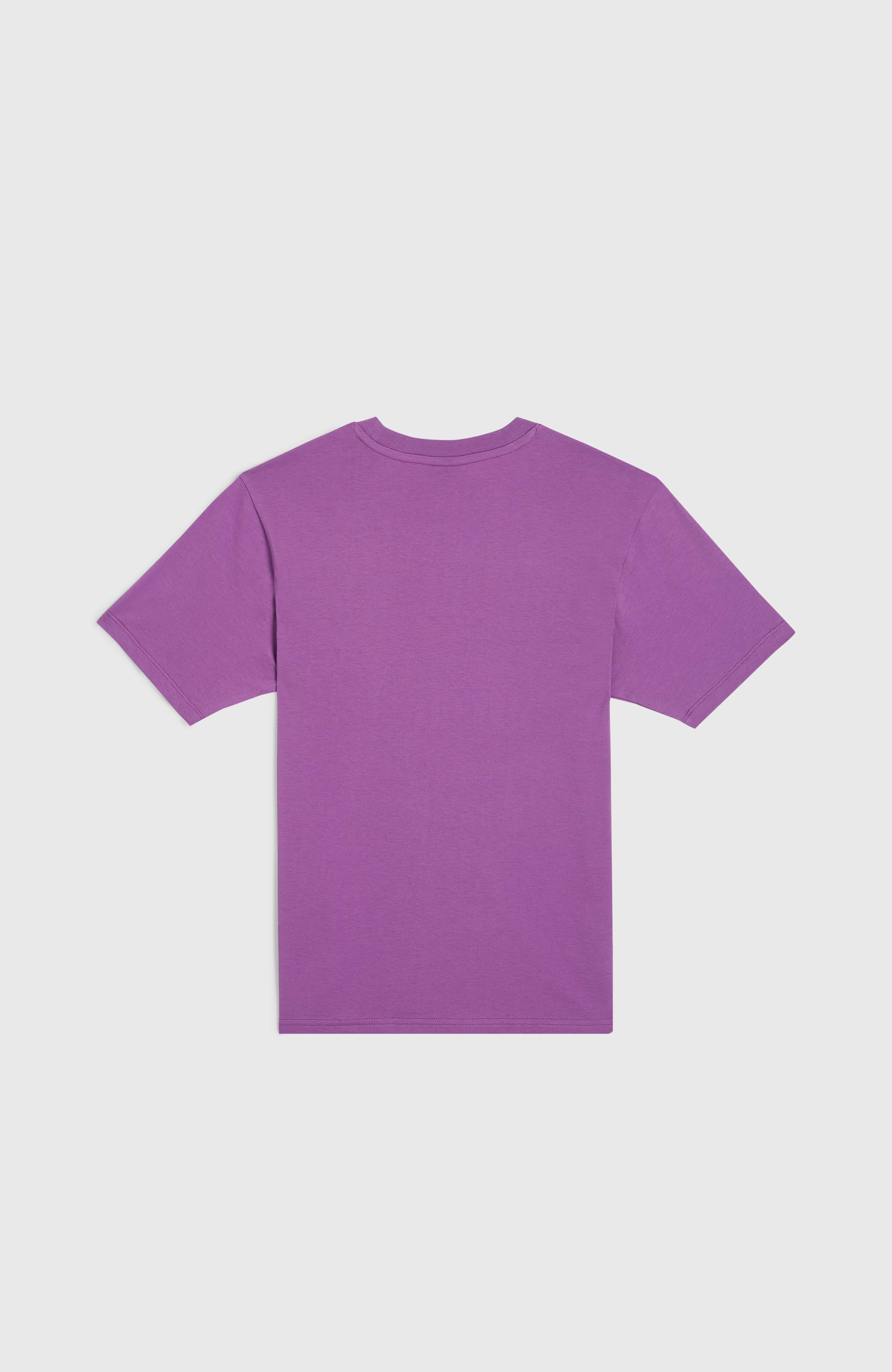 Small Graphic T-shirt
