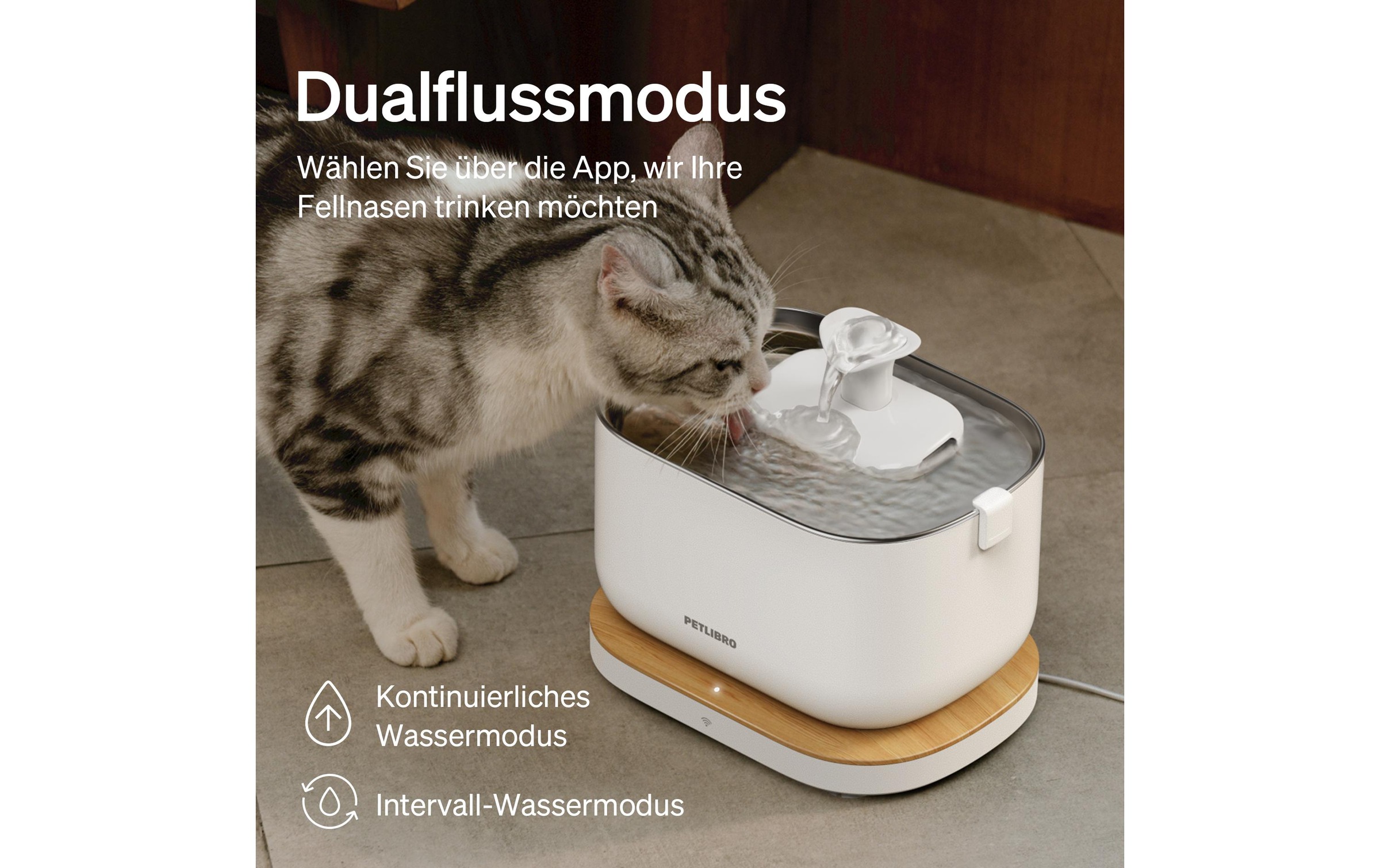 Trinkbrunnen »Petlibro Dockstream«