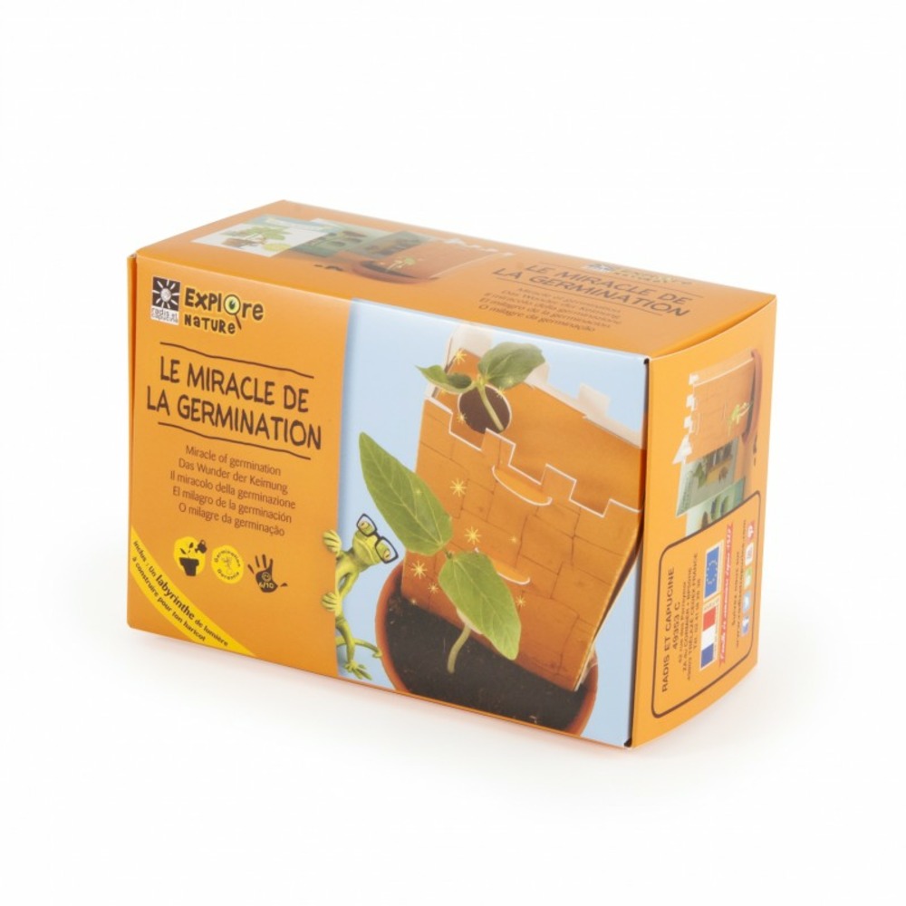 Coffret : le miracle de la germination