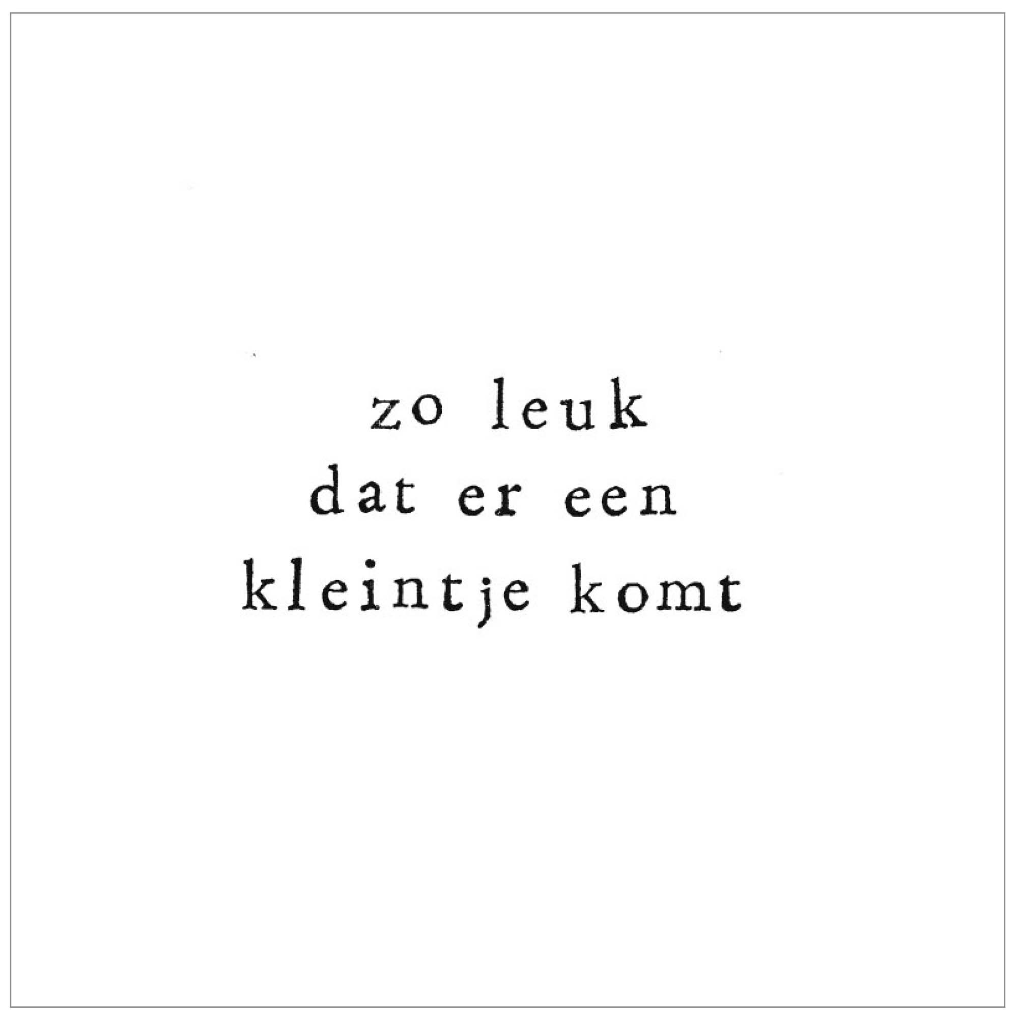 Wenskaart Ik pak je in 'Zo leuk dat er een kleintje komt' multi - shop nu - Prén