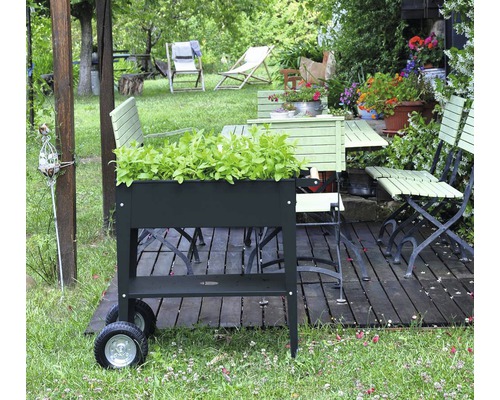 Verhoogd tuinbed op palen Herstera Garden Kräuterfabrik Urban 75x35x80 cm antraciet