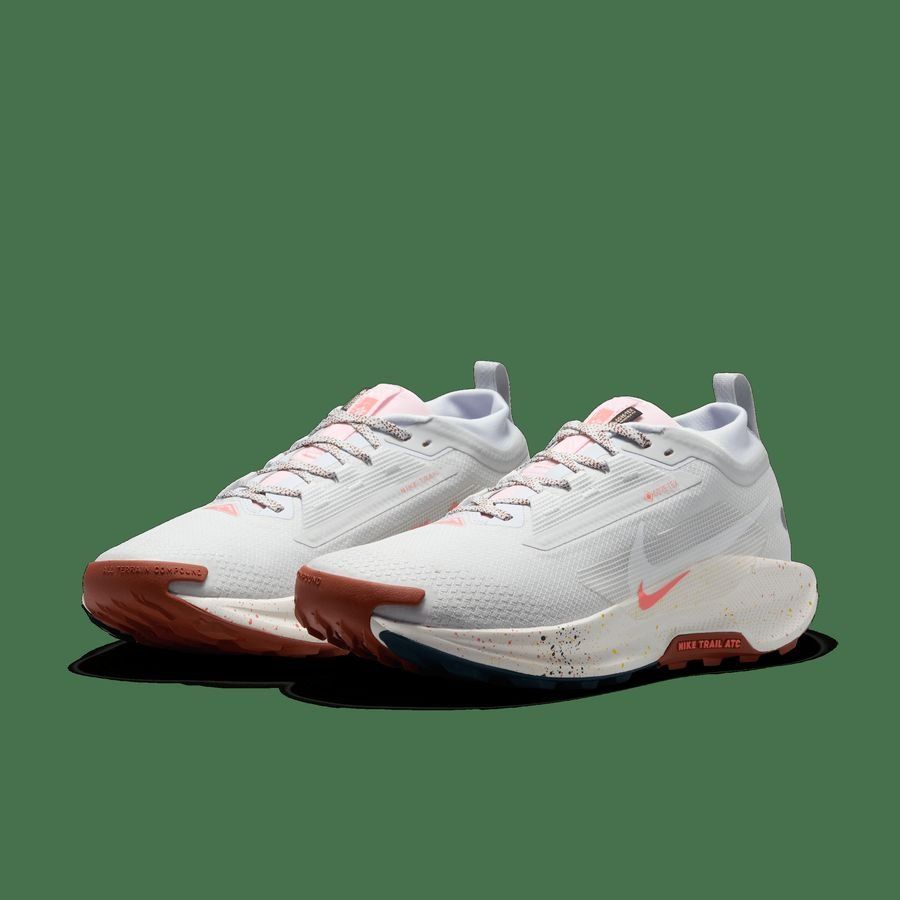 Nike Pegasus Trail 5 GORE-TEX