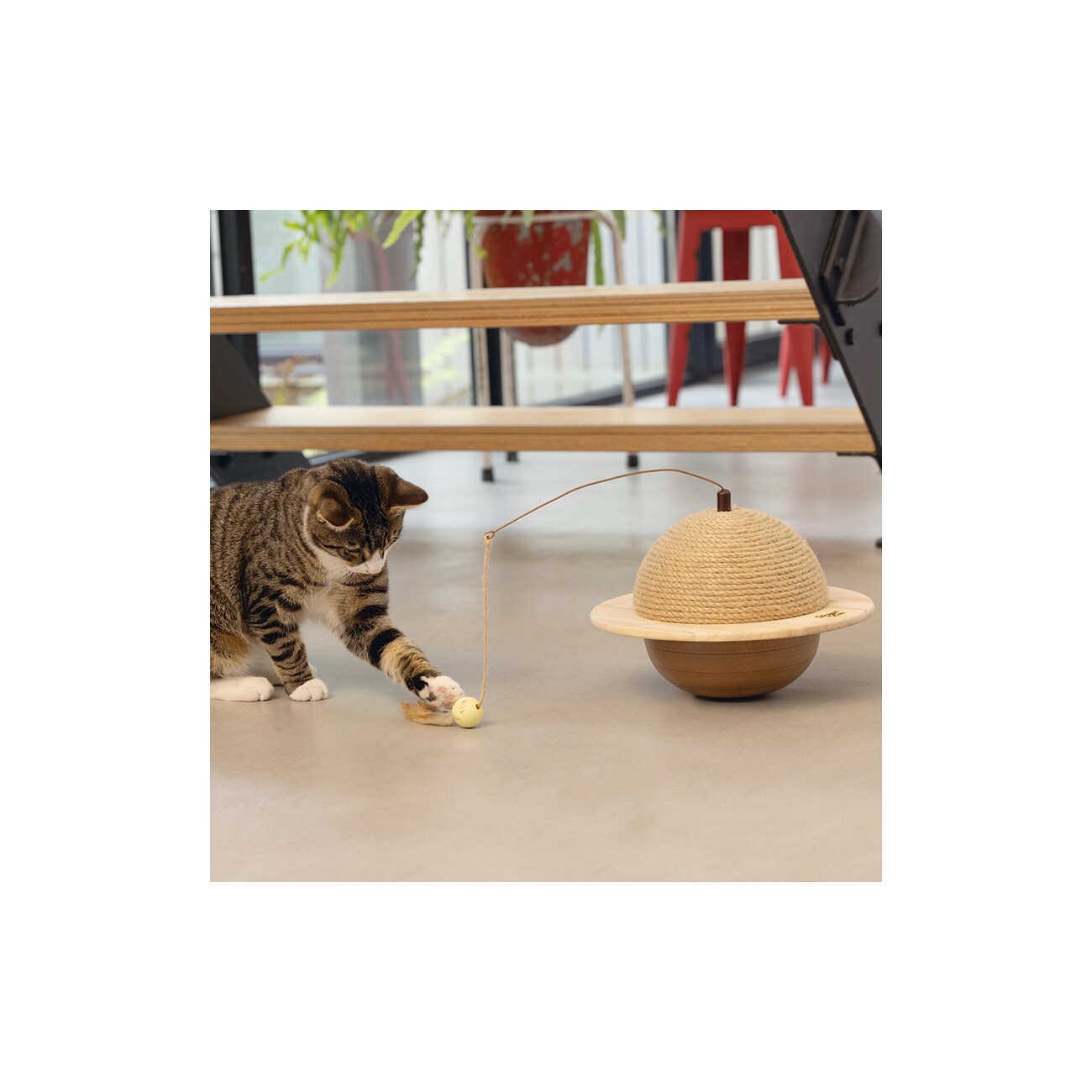 Designed by Lotte DBL Kratzball Wiggly Holz