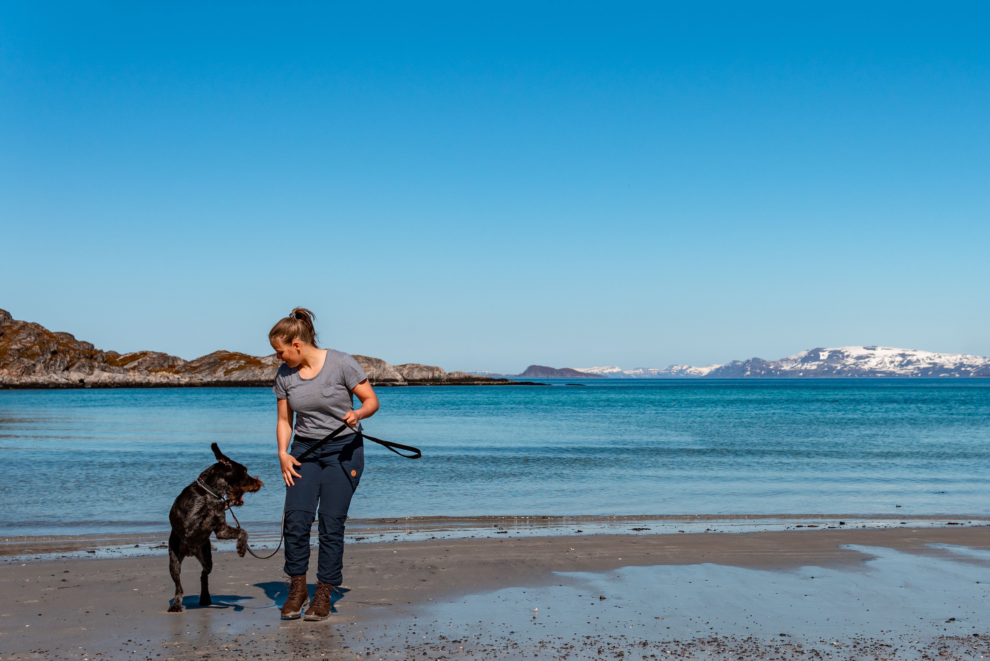 Kjøp Non-Stop Dogwear Strong Leash fra Hekta på tur!