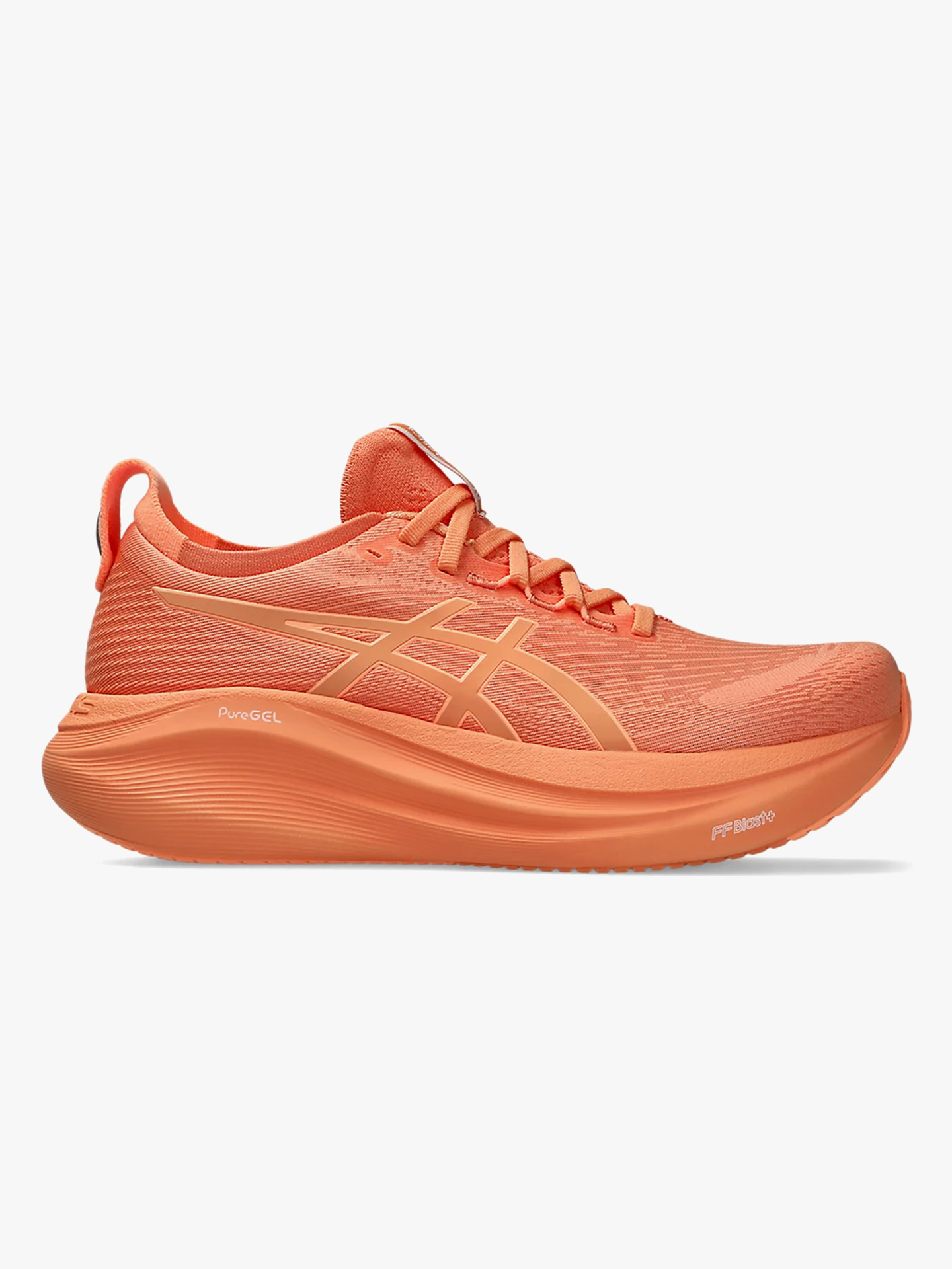 Gel-Nimbus 27 Lite-Show