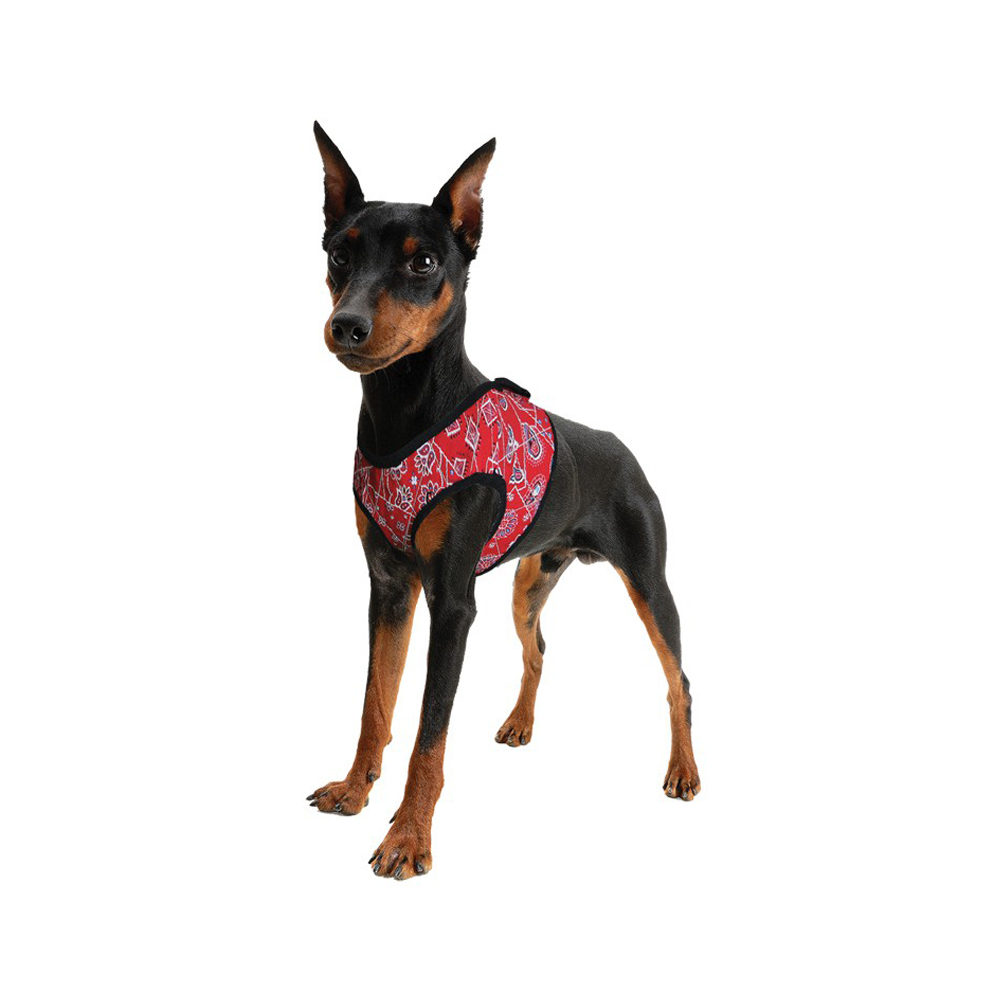 Aqua Coolkeeper Comfy Harness