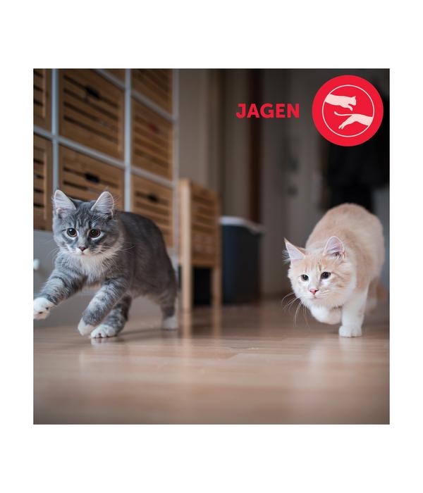 FELIWAY® Alltagshelfer Friends Start-Set