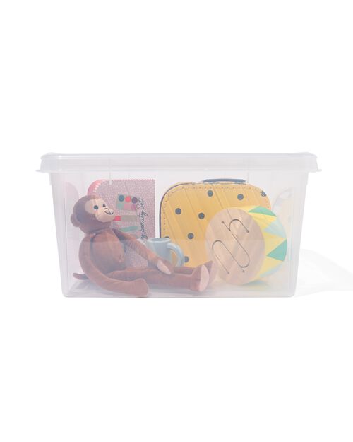 boîte de rangement 21L London transparent 50x39x18