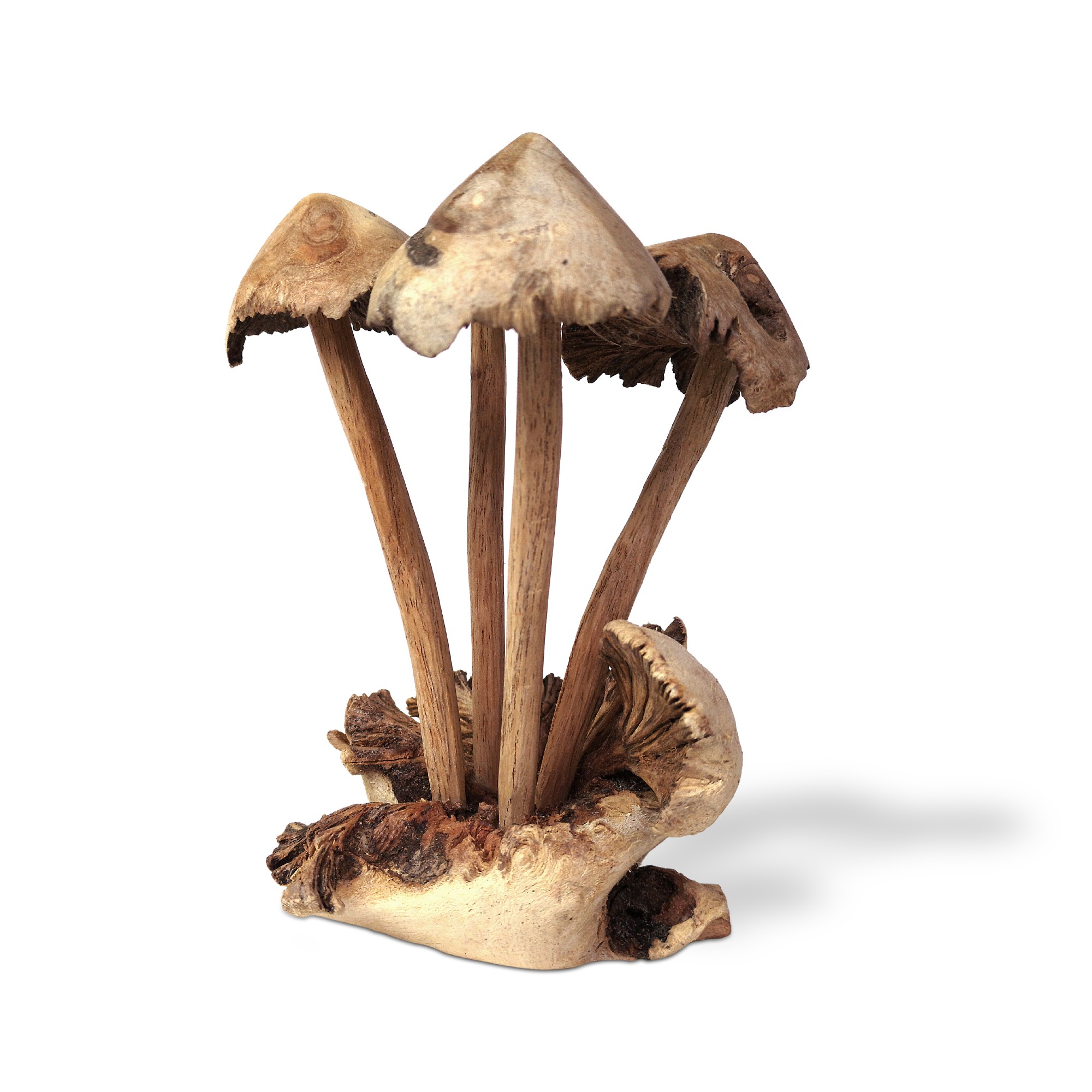 Figur 'Blätterpilz' aus Holz, Ø 13 cm, H 15 cm von fischer's lagerhaus