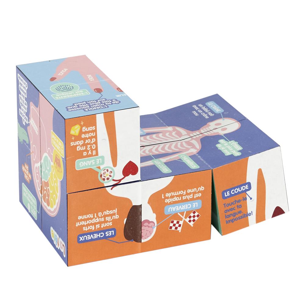 CUBE EDUCATIF CORPS HUMAIN