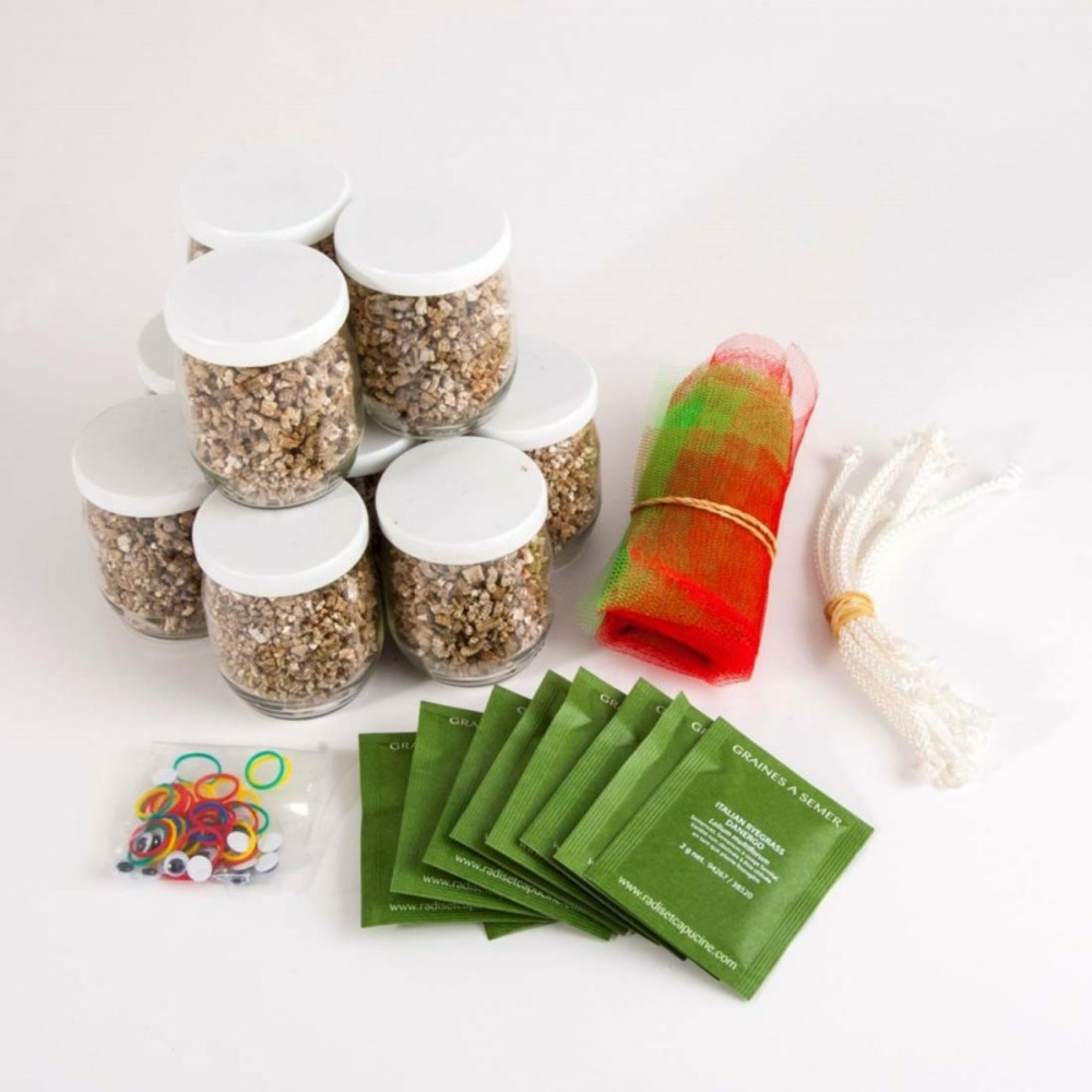 Coffret anniversaire 10 mr patate
