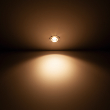 Philips badkamer LED inbouwspot Dive 1x5W wit