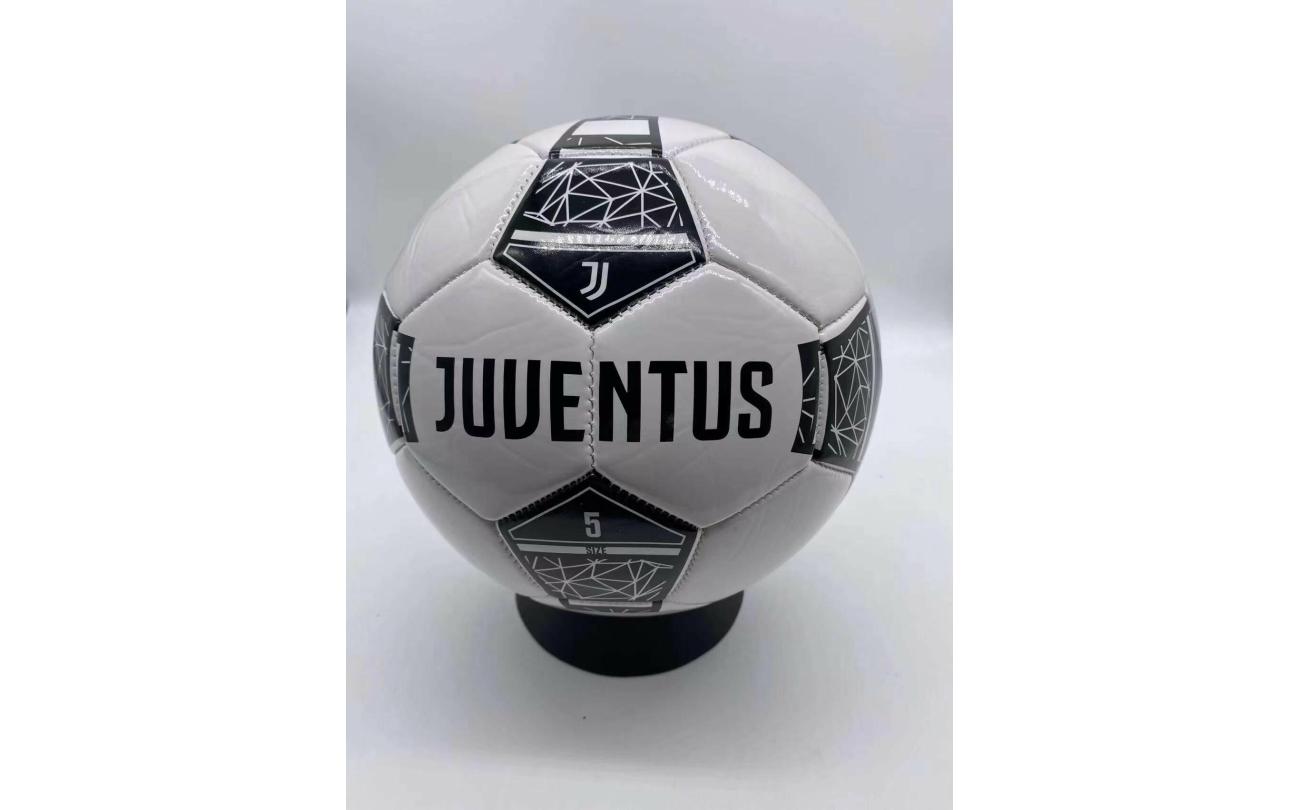 Juventus Pro 2023 bal size 5