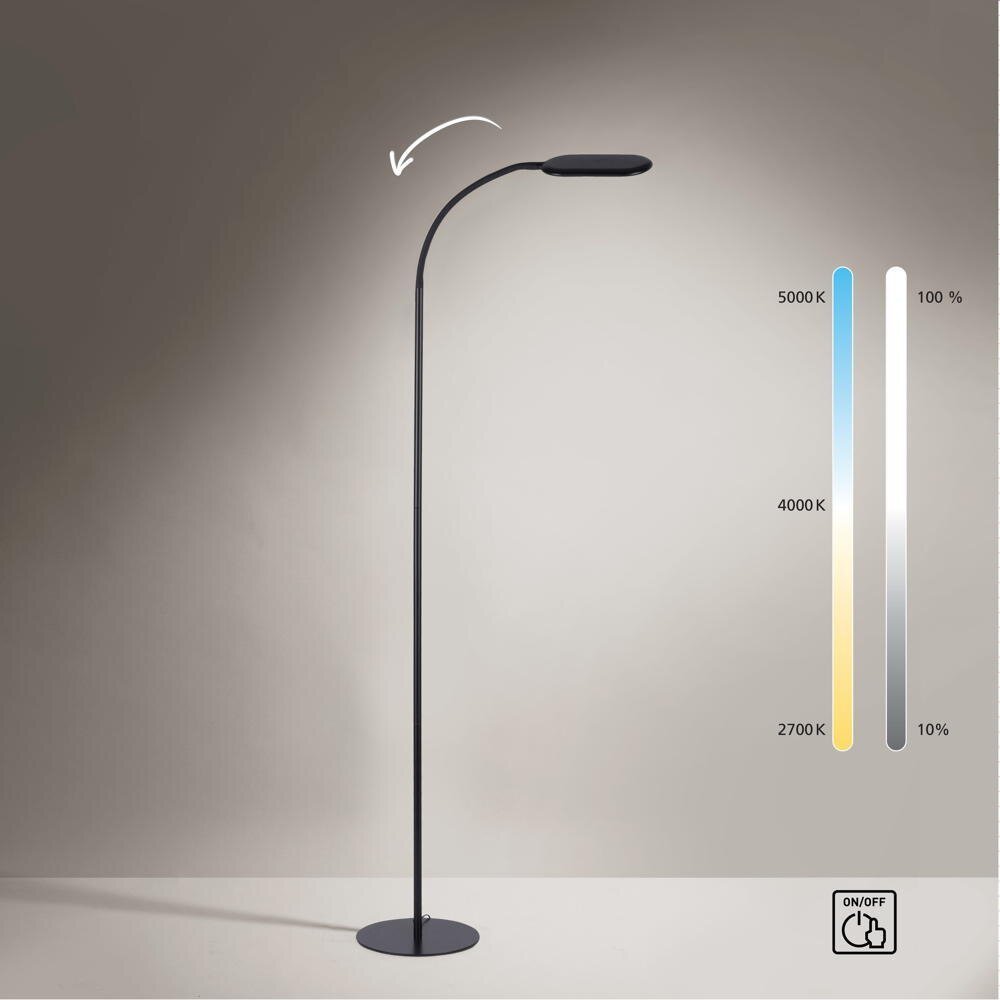 Kelly LED vloerlamp in zwart, 10W, 800lm