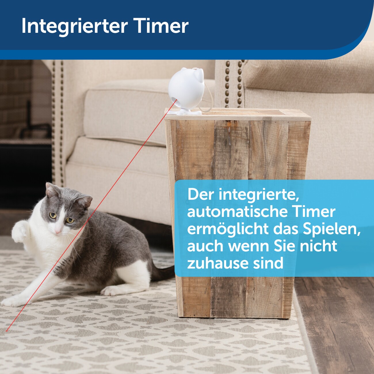 PetSafe Automatisches Laserspielzeug für Katzen Dancing Dot