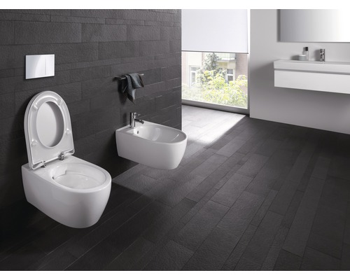 GEBERIT wandclosetset iCon, randloos, glanzend wit met toiletzitting CG05040000