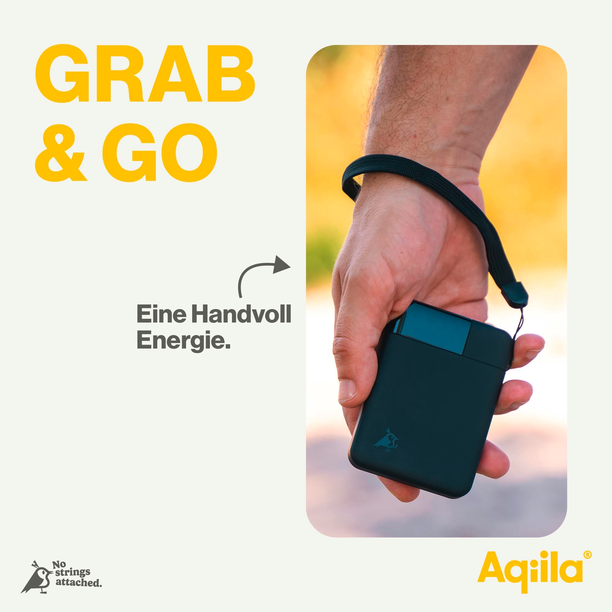 Aqiila Powerbird Powerbank 12 W 5000 mAh schwarz
