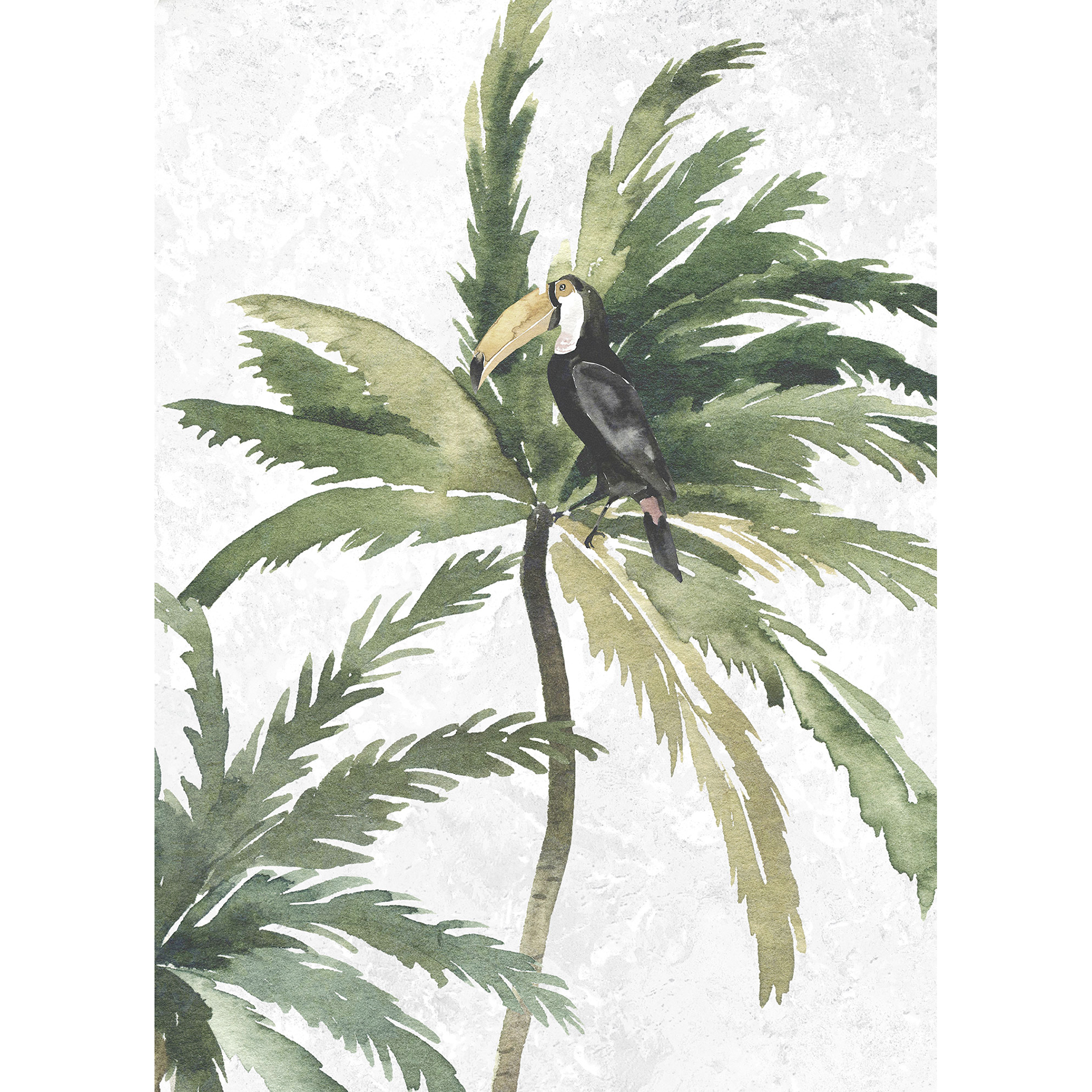 Wandbild TROPICAL TOUCAN - 50x70 cm