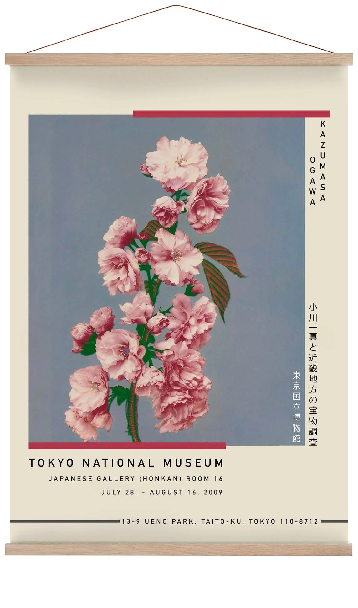 Kirschblüte von Kazumasa Ausstellung