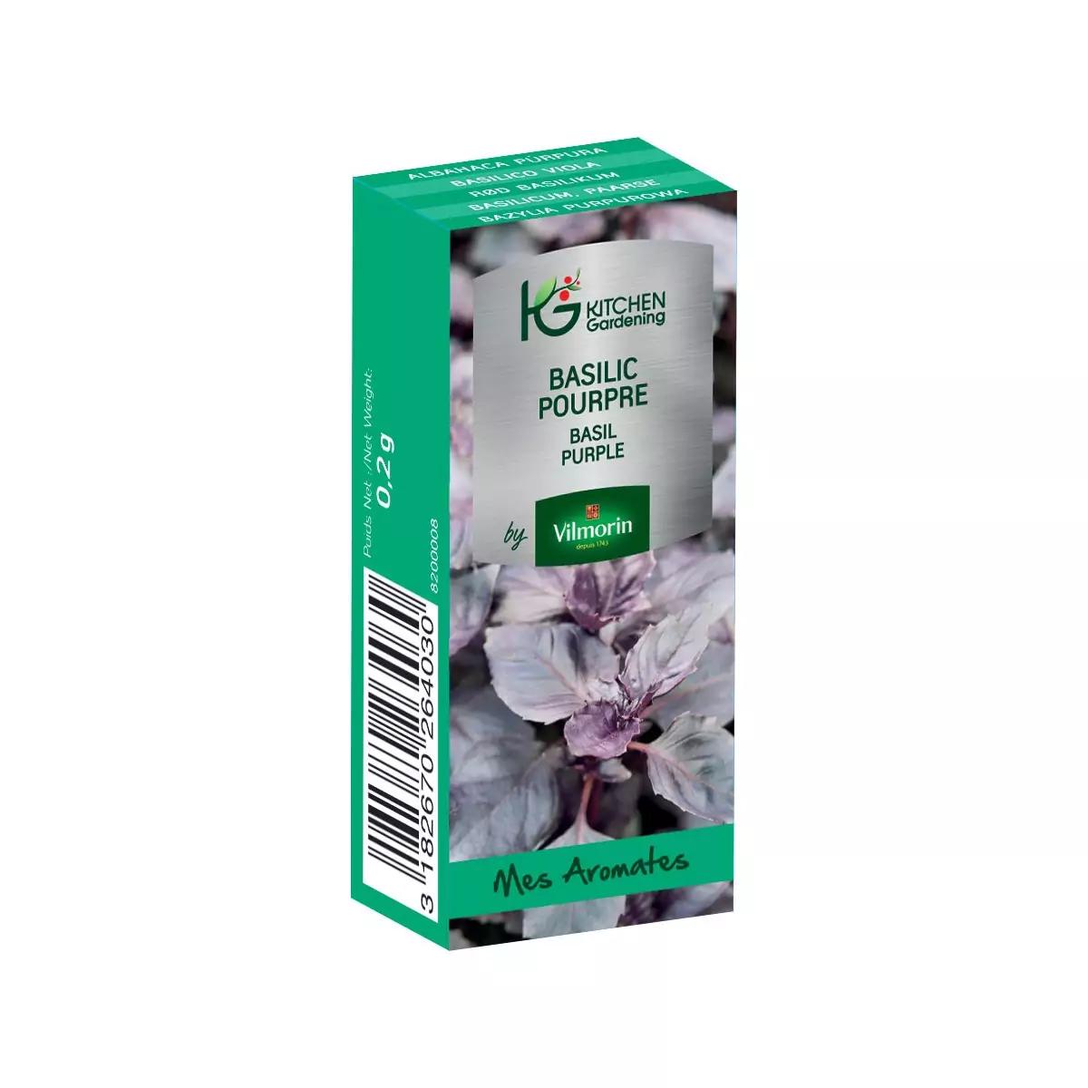 Kitchen gardening - basilic pourpre