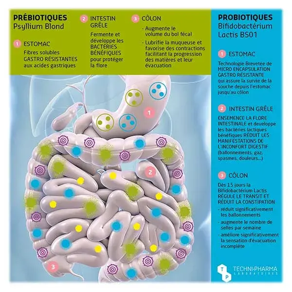 Techni-Pharma Transillium 100 cápsulas