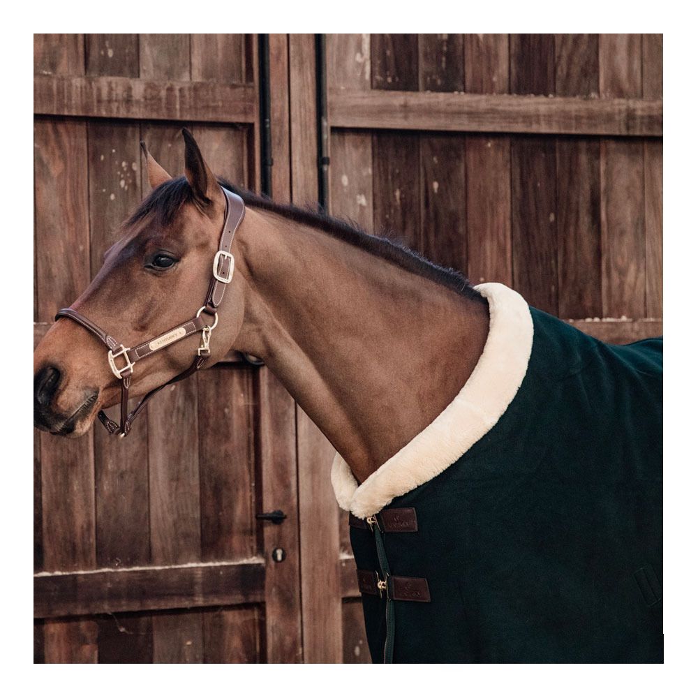 Kentucky SHOW HEAVY - Chemise séchante pine green