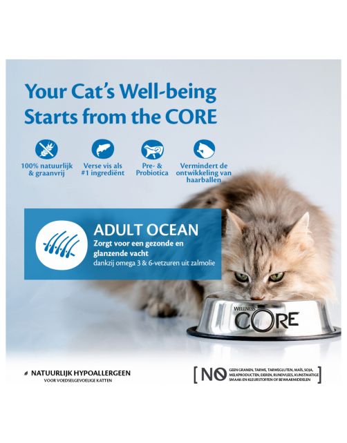 Wellness Core Grain Free Cat Ocean Zalm&Tonijn - Kattenvoer