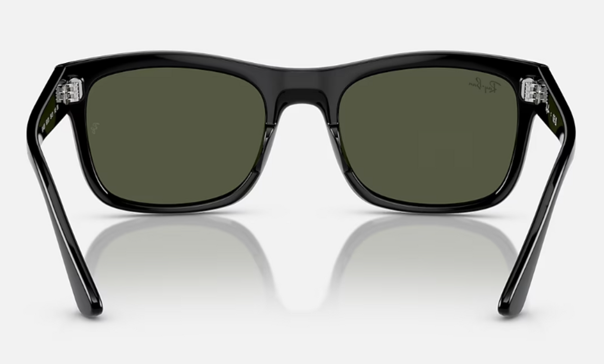 Ray-Ban<br>RB4428 Black