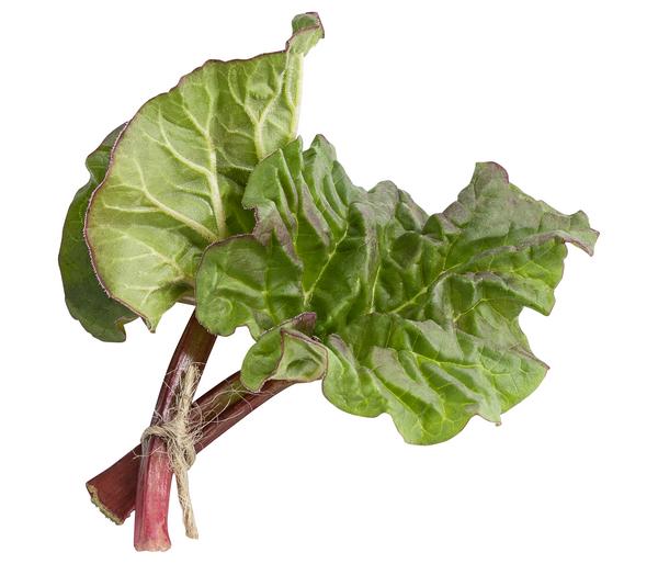 Rhabarber