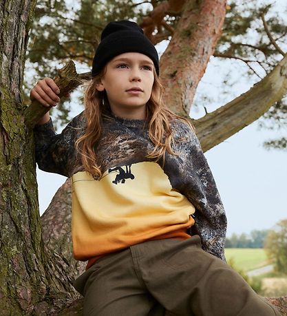 Molo Sweatshirt - Mattis - Bergsteiger