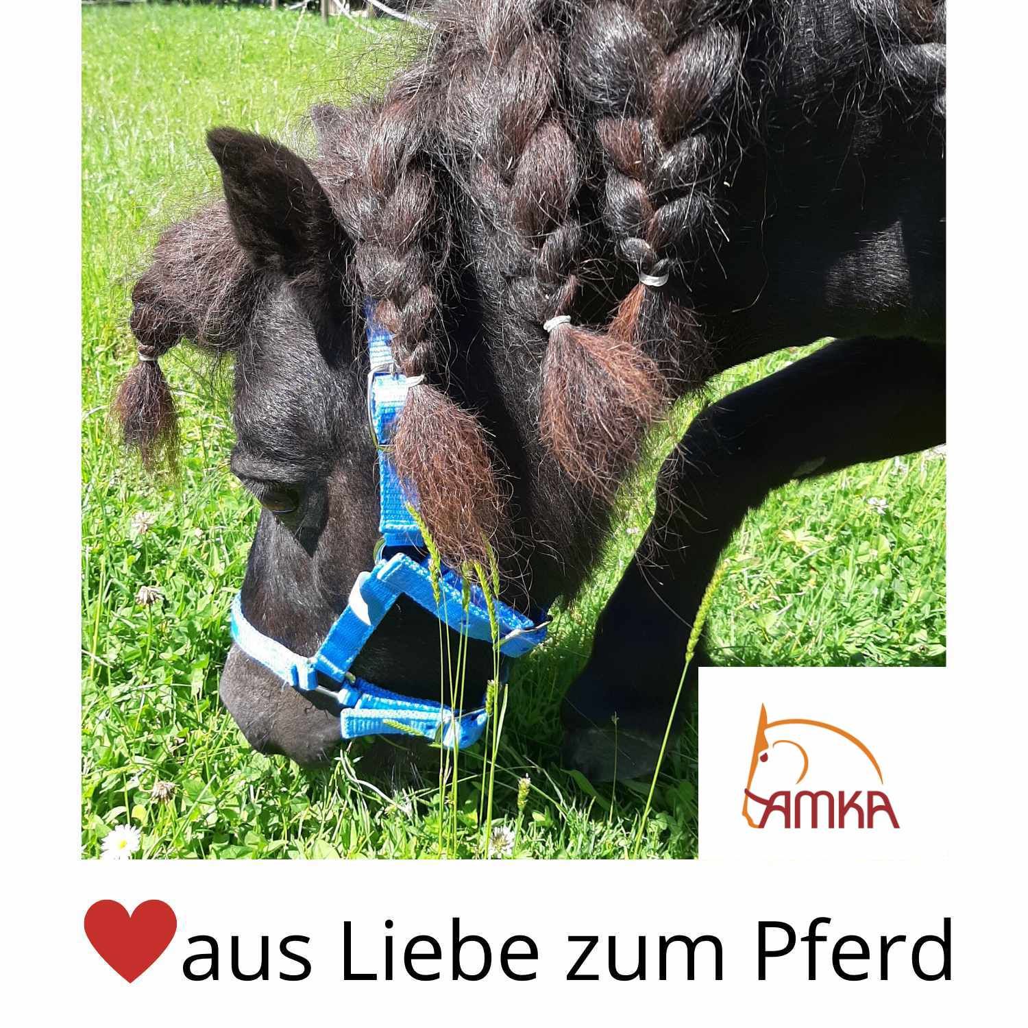 AMKA Ponytrense Wassertrense