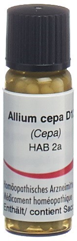 Omida Allium cepa Glob 12 D 2 g