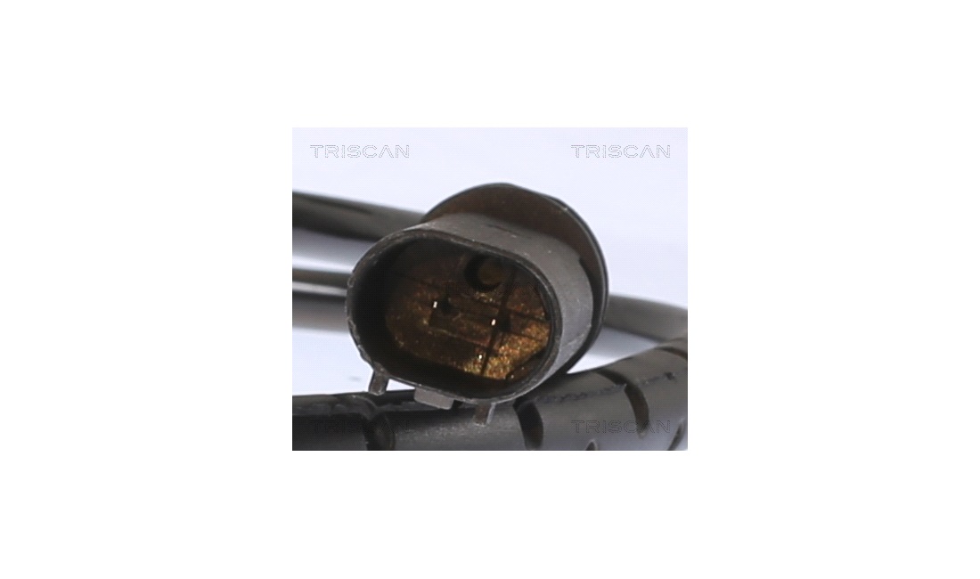 ABS sensor