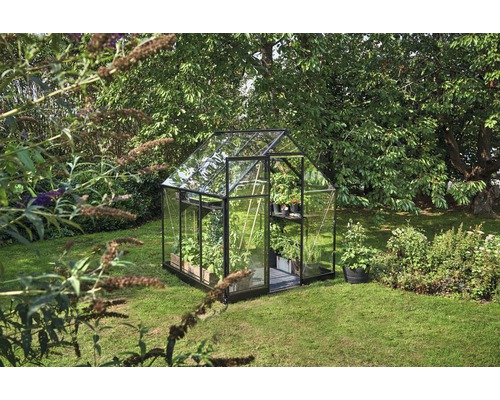 Halls Qube 66 kas, 3,9 m², 3 mm veiligheidsglas, 198 x 198 cm, zwart