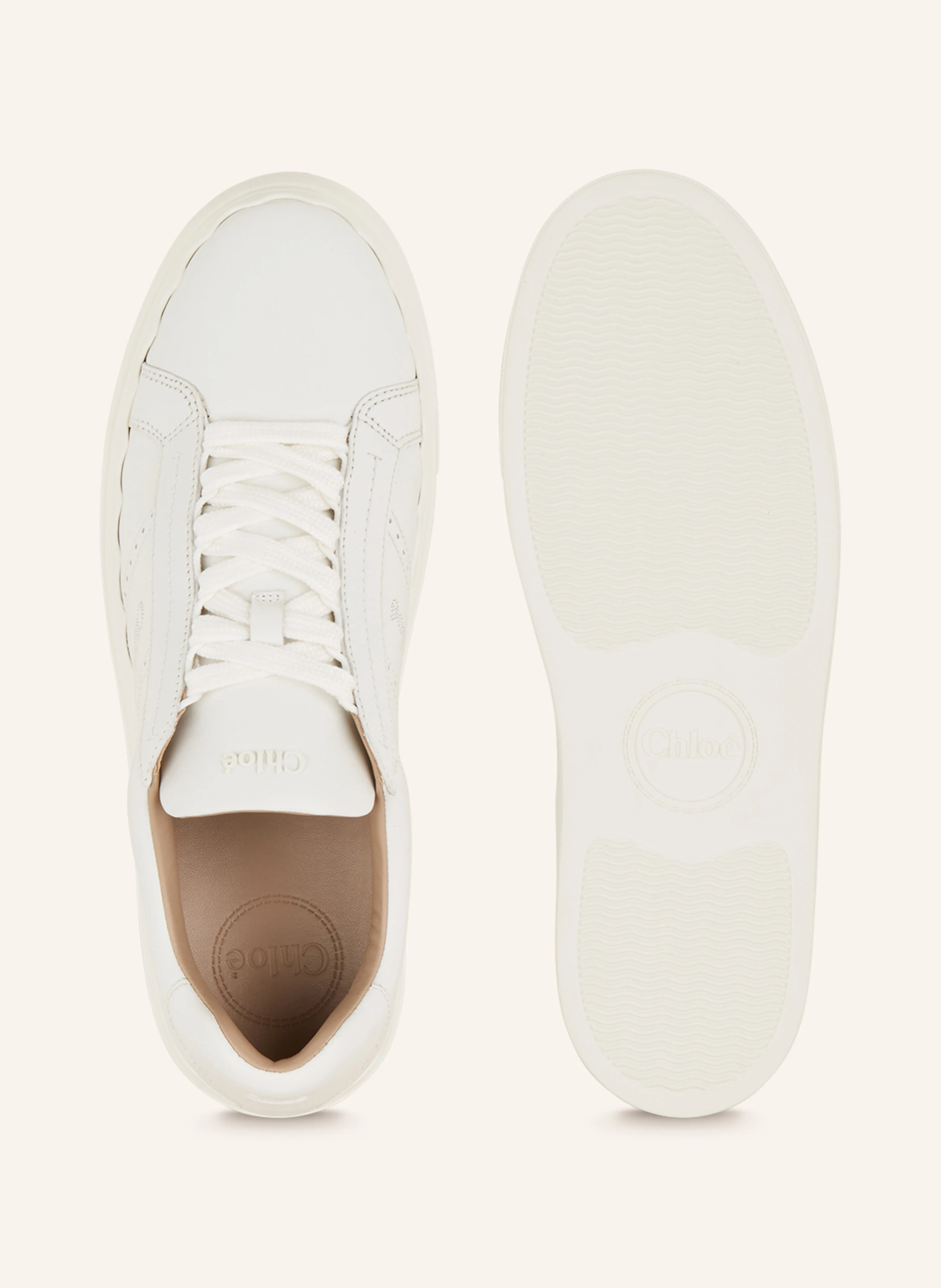 Chloé Sneaker LAUREN