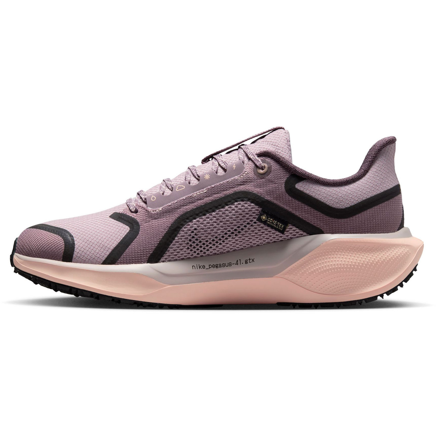 Nike Pegasus 41 GTX Dames