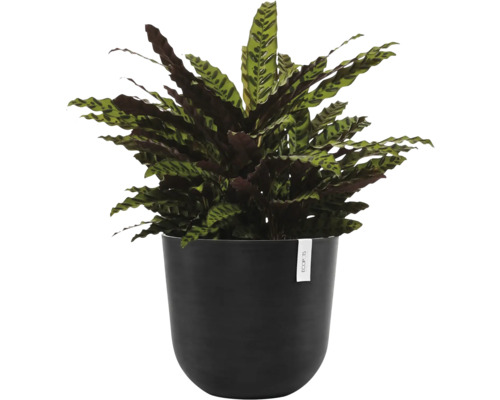 Ecopots Oslo kunststof bloempot, Ø 42,6 cm, 45 x 45 x 39,4 cm, donkergrijs