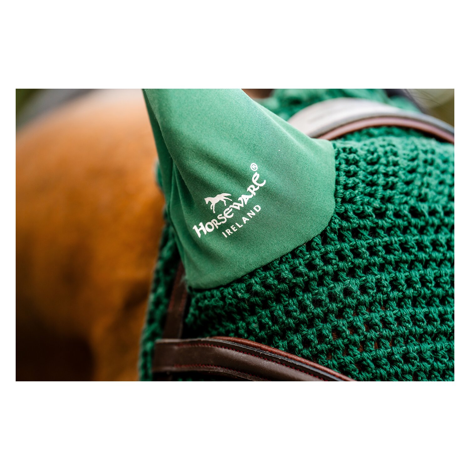 HORSEWARE Signature Fliegenohren  - green - VB/WB